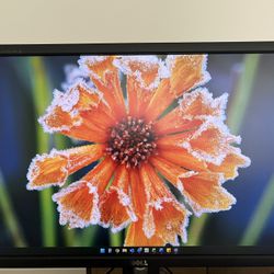 Dell Monitor - 24in