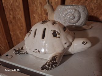 Glass Turtle