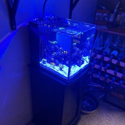 Innovative Marine Nuvo 10 Pro With Stand 