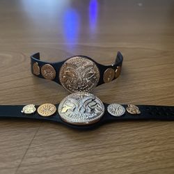 WWE Tag Team Championships Mattel 