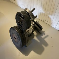 Weight Bench With Complete Weight Set