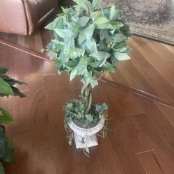 All Artificial Plants All For $75