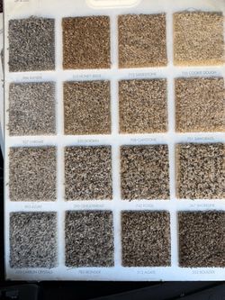 Carpet.   And installation