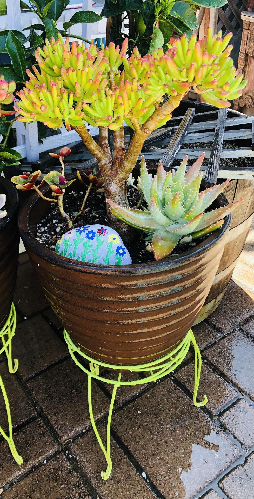 PLANT STANDS WITH POTTED PLANTERS