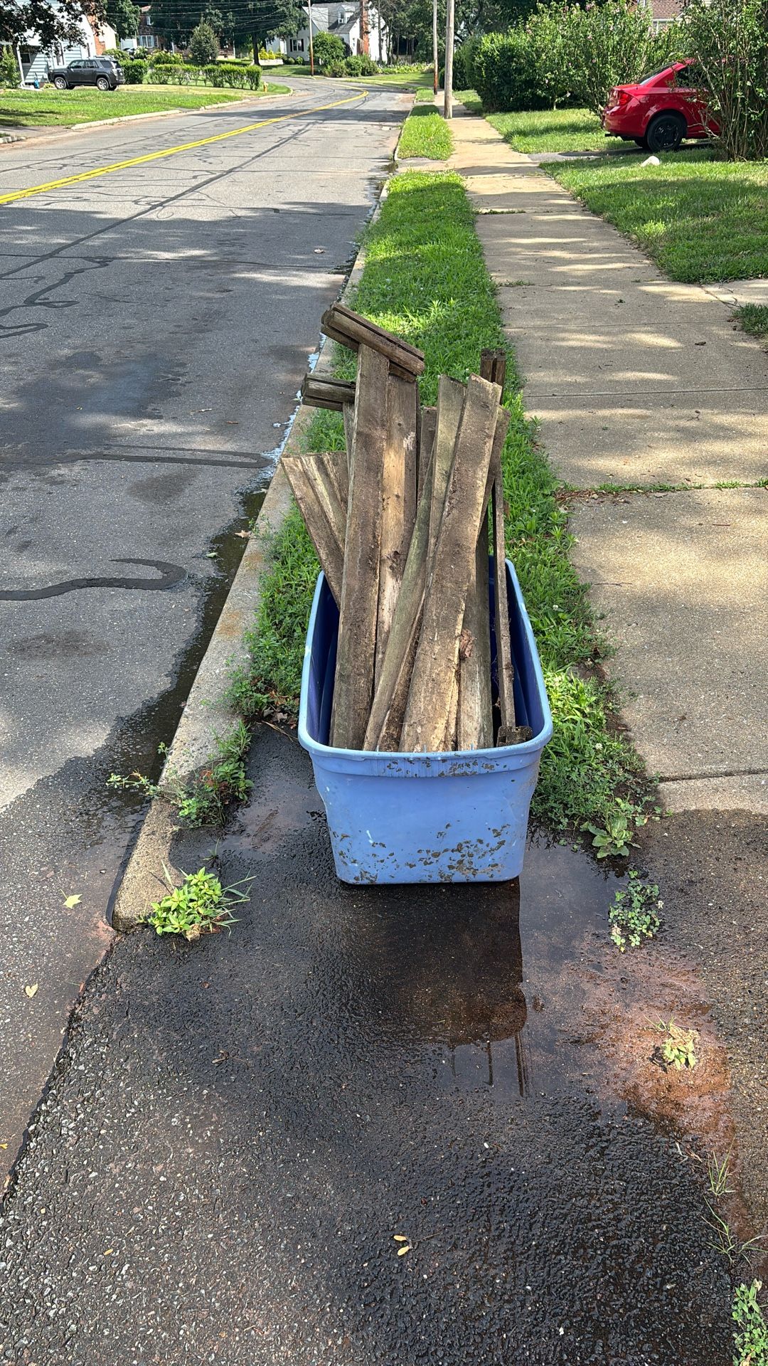 Free Wood In Plastic Container