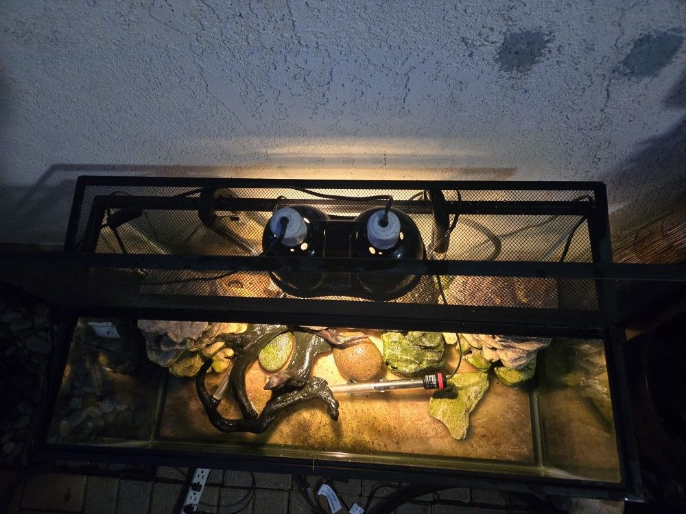 40 Gallon Breeder Aquatic Turtle Tank