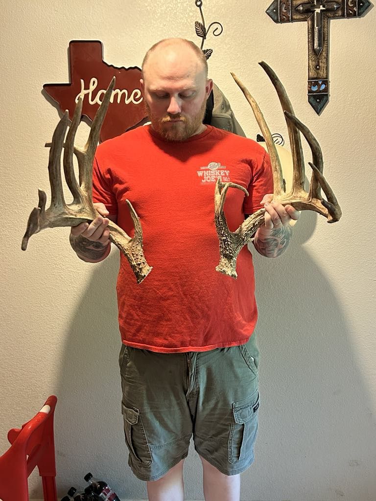 Big 220 Inch typical whitetail sheds
