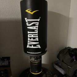 Everlast Punching Bag