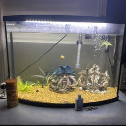 45 Gallon Fish Tank 