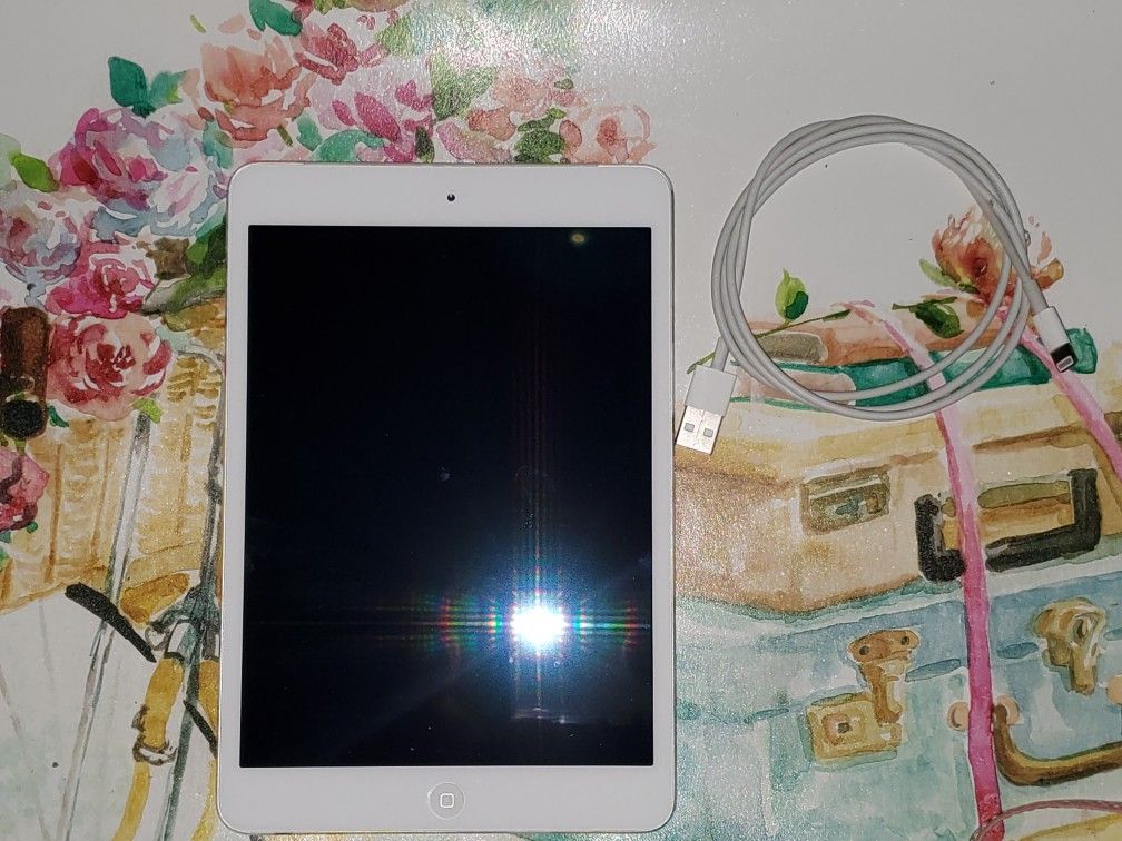 iPad Mini