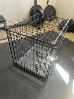 Dog Kennel