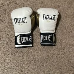 Everlast Boxing Gloves