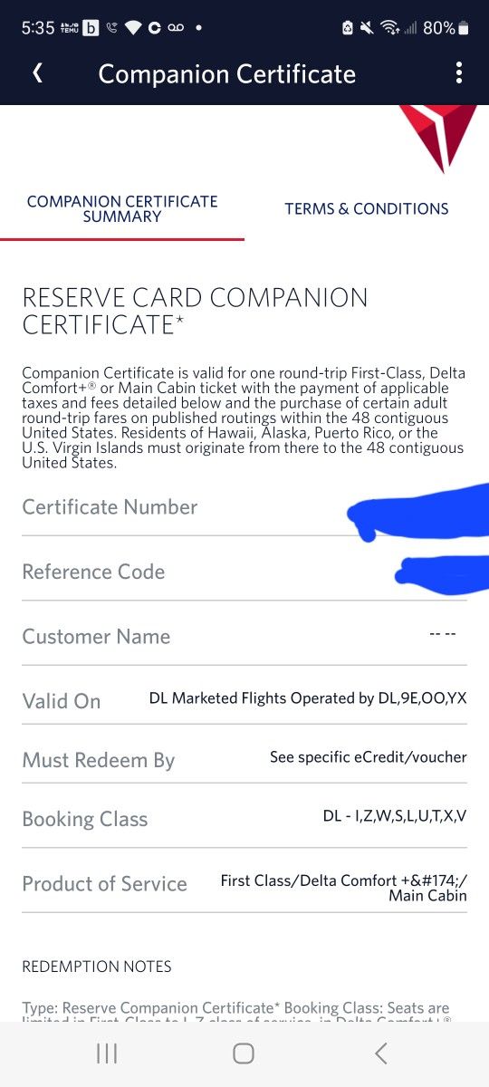 Delta Airlines Companion Pass