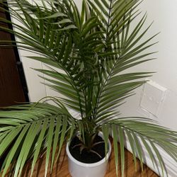 Fake Plant