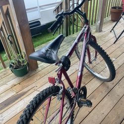 $60  Good Bike