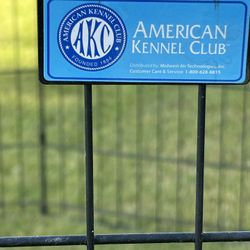 American kennel corral for dogs