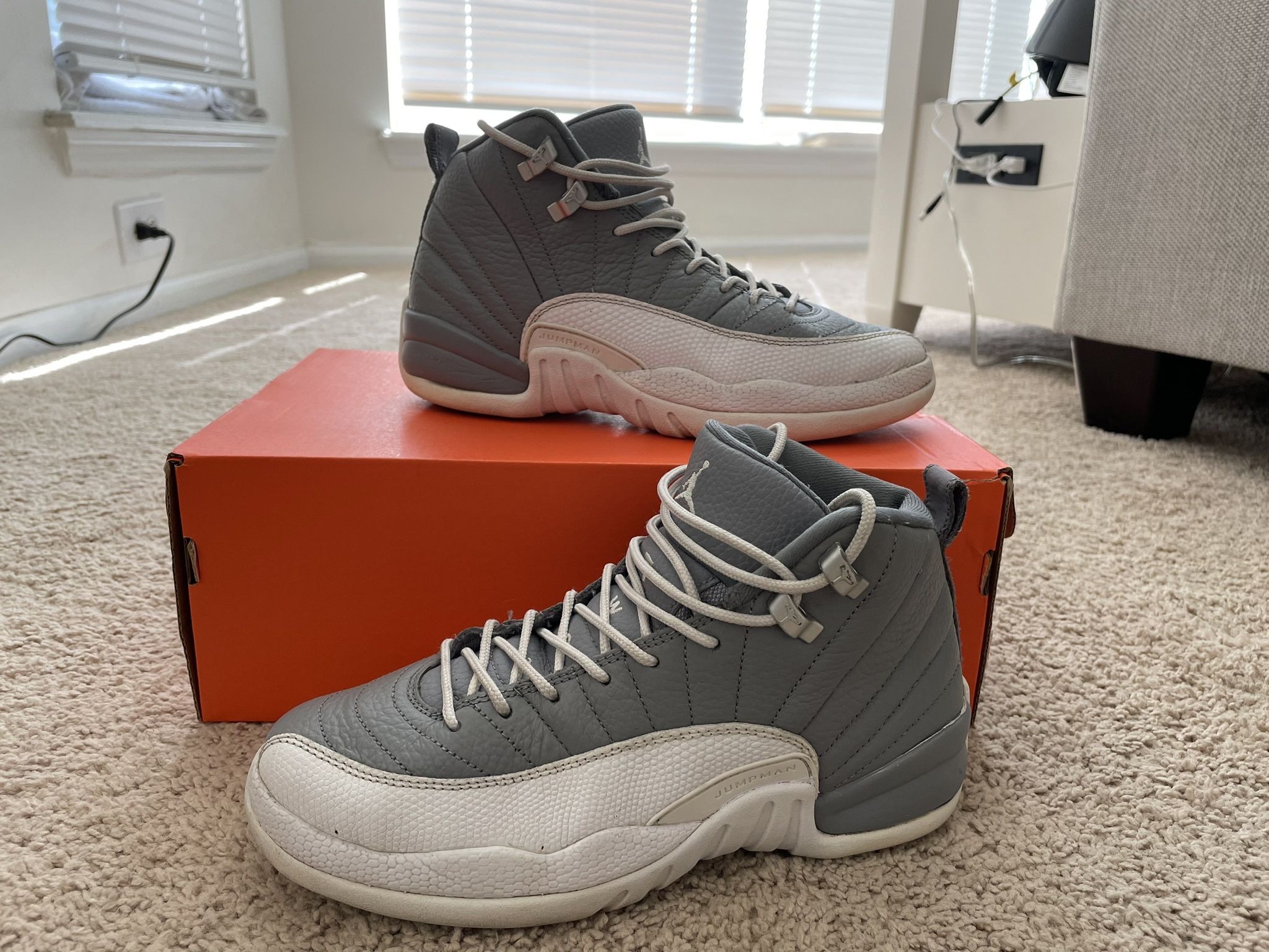 Air Jordan 12