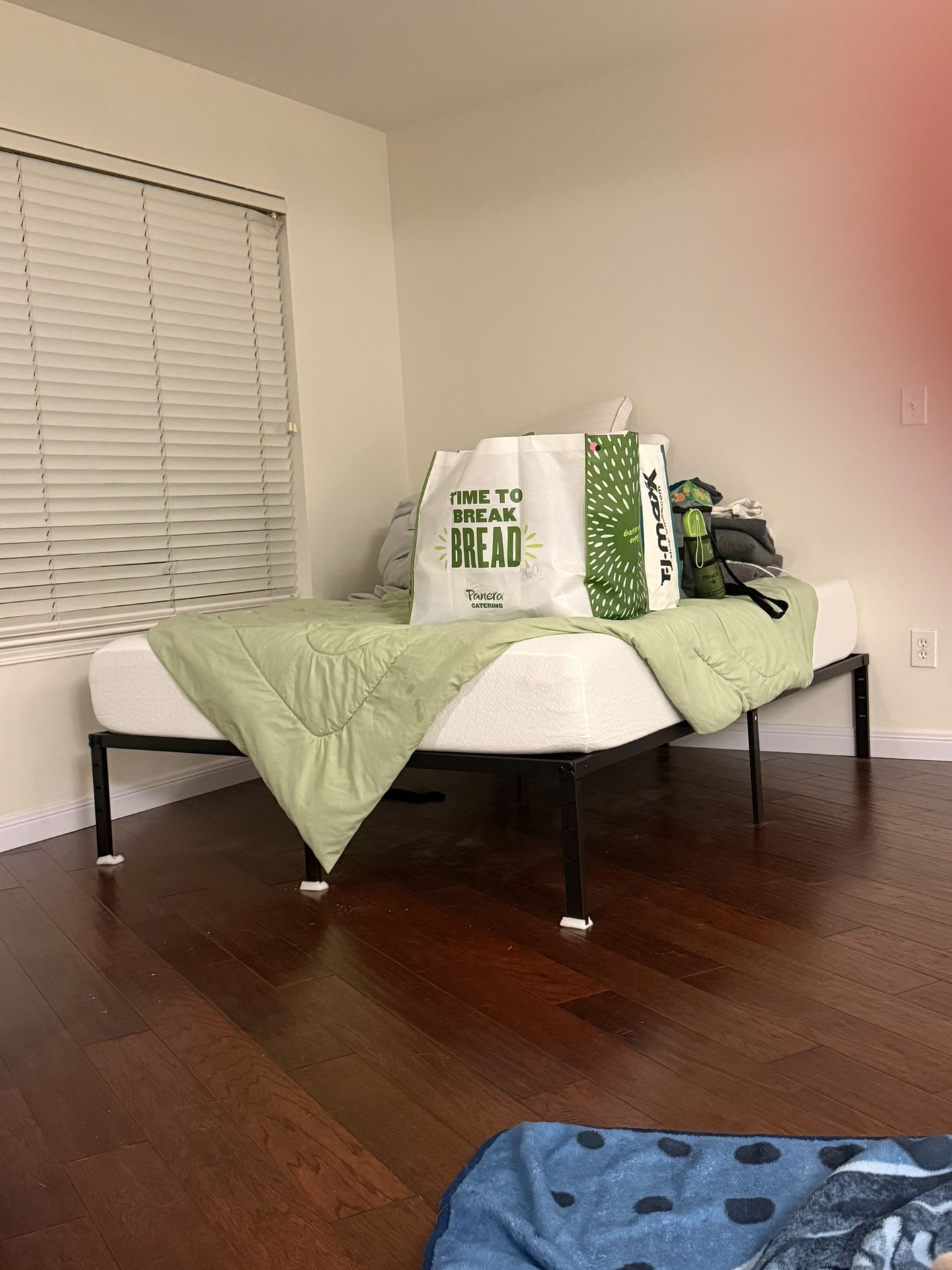 Queen bed + Bed Frame 