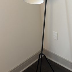 Design Within Reach Grasshopper Floor Lamp In Black 