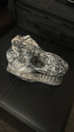 T. rex rock carved collectible stone