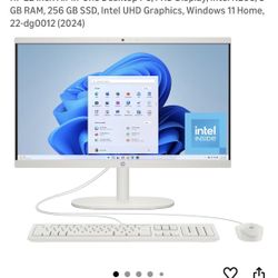 HP 22 inch All-in-One Desktop PC