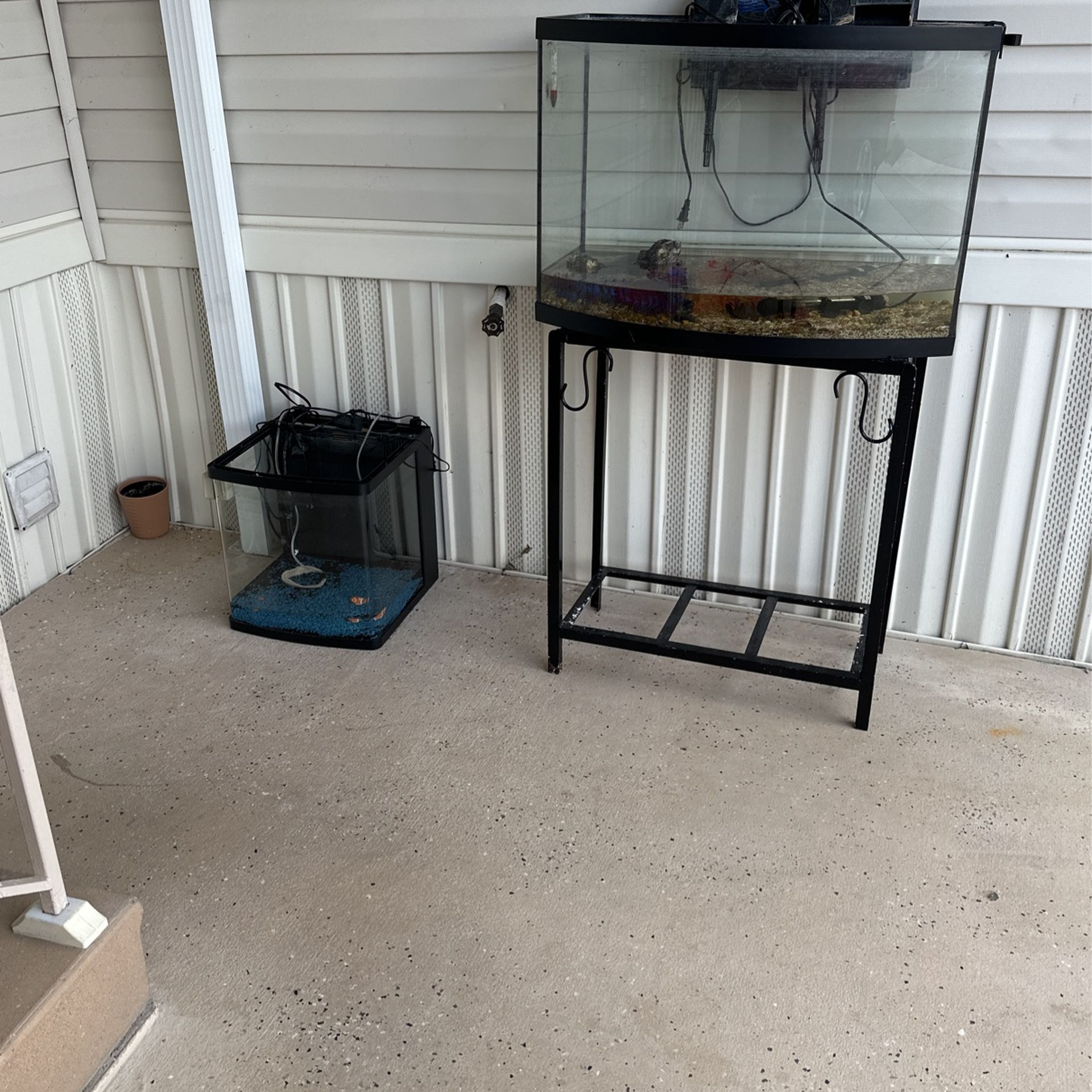Two Fish Tank