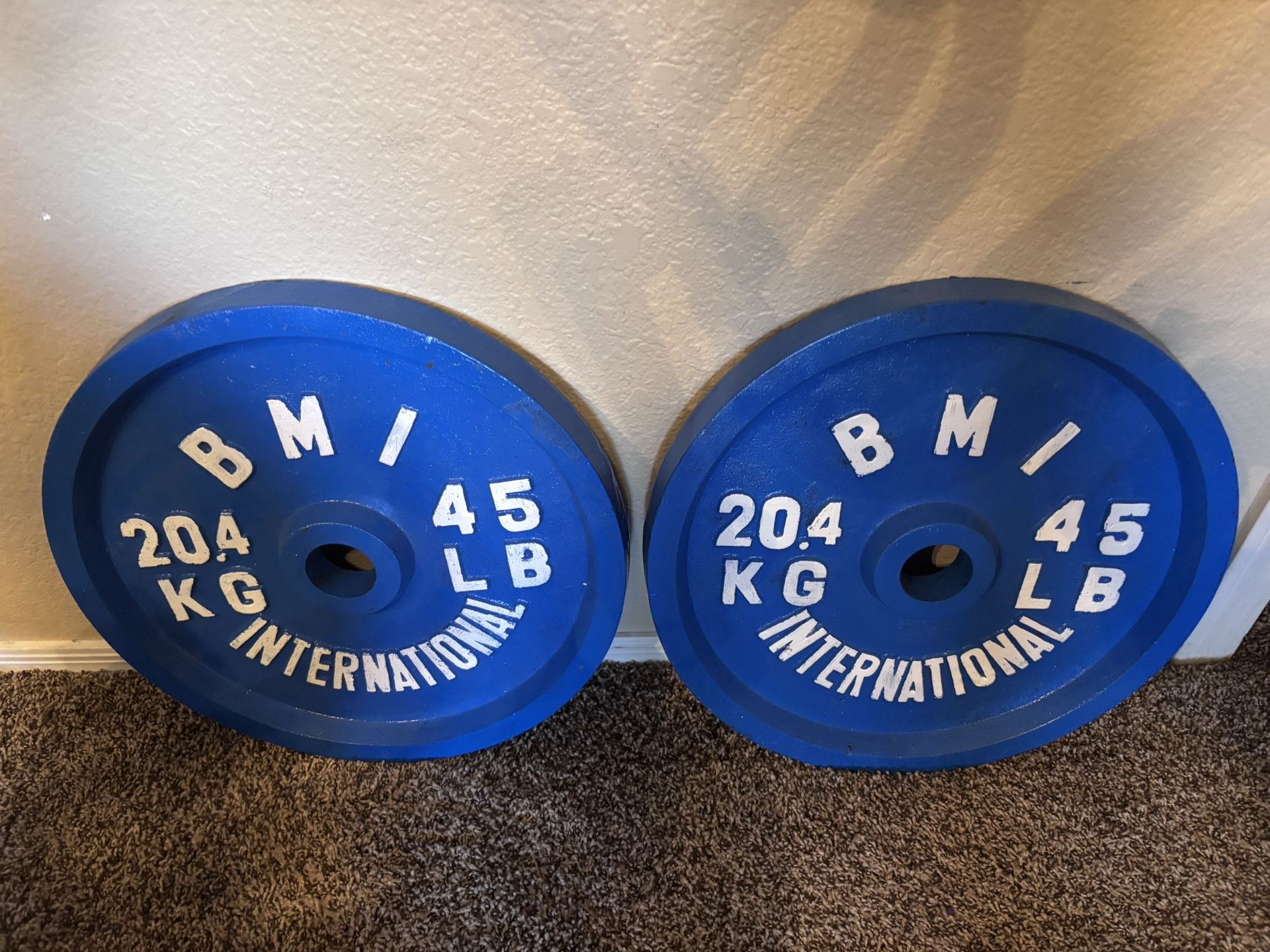 45lb Olympic Barbell Weights 