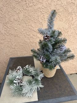 christmas wreath & plant