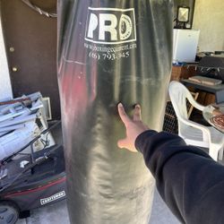 Punching Bag