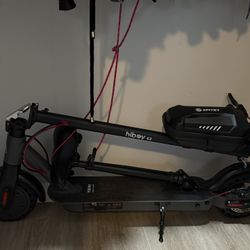 Hi-Boy Electric Scooter 