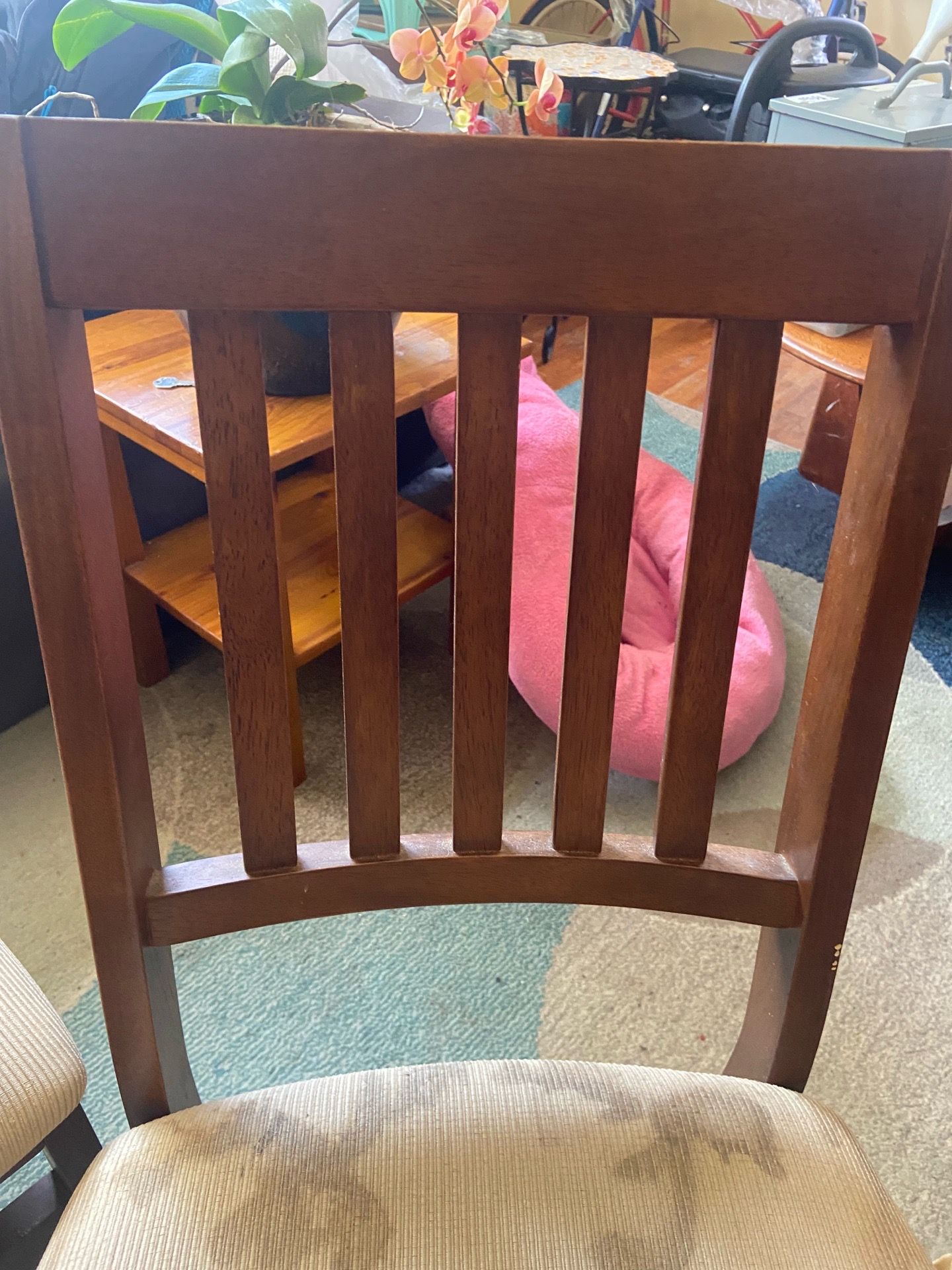 Stackmore Fruitwood folding chairs