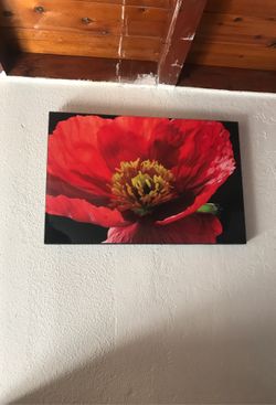 16x20 picture