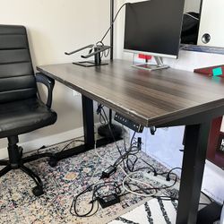 Standing Desk- Adjustable, chair and monitor