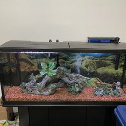 55 Gallon Fish Tank With Stand