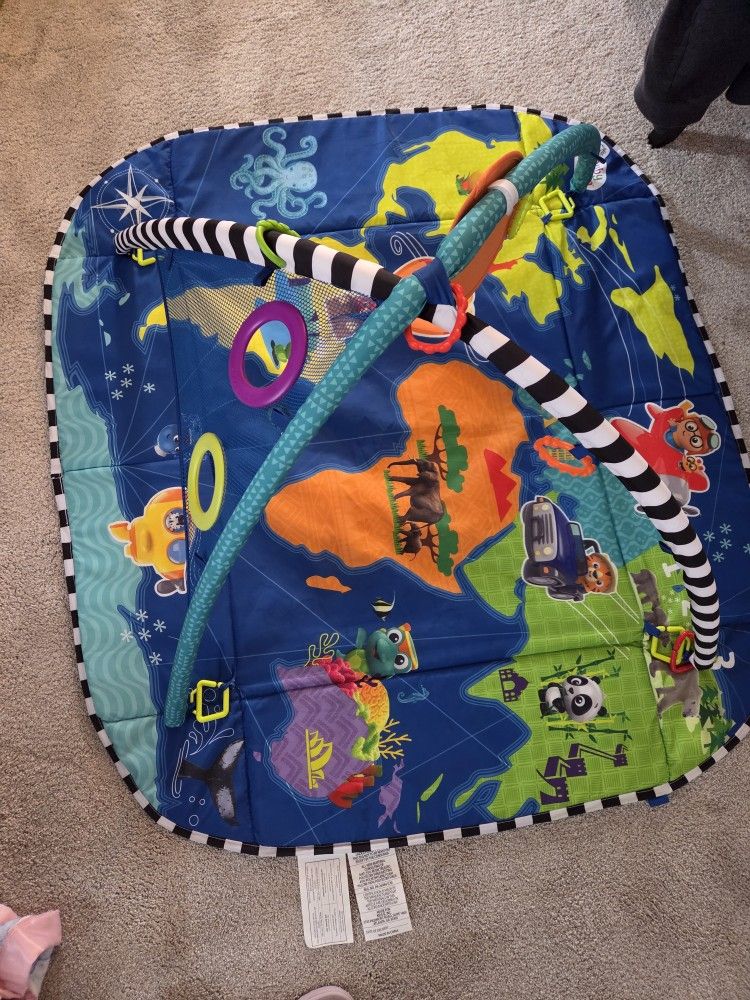 Little Einstein Activity Gym