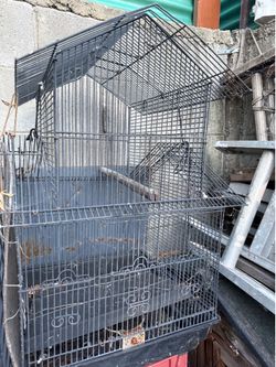 Bird cage