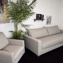 Light Gray Couch Set 