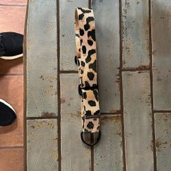 Dog collar 