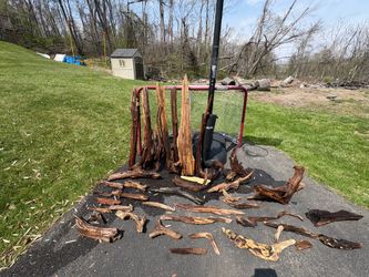 Driftwood