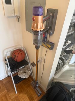 Dyson v15 Animal