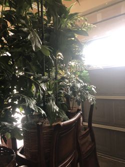 Artificial Plant with Basket