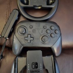 Nintendo Switch Pro Controller