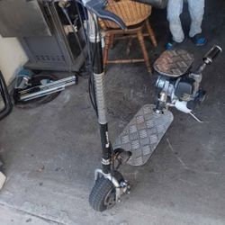 Gas Scooter 