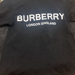 Burberry Size 2t 