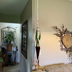 Beautiful Hanger With Snake Plant In Amber Tall Vase All Like New! 