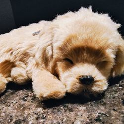 Perfect Petzzz - Golden Retriever Stuffed Animal
