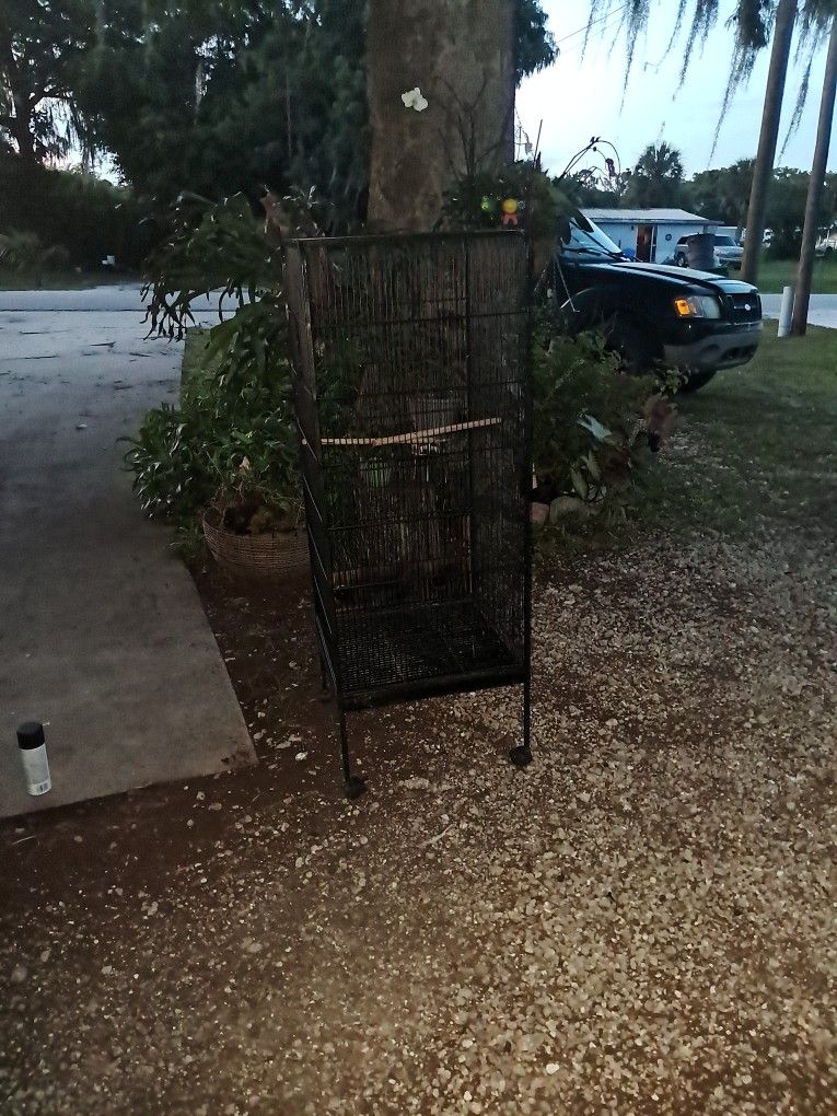 Bird Cage