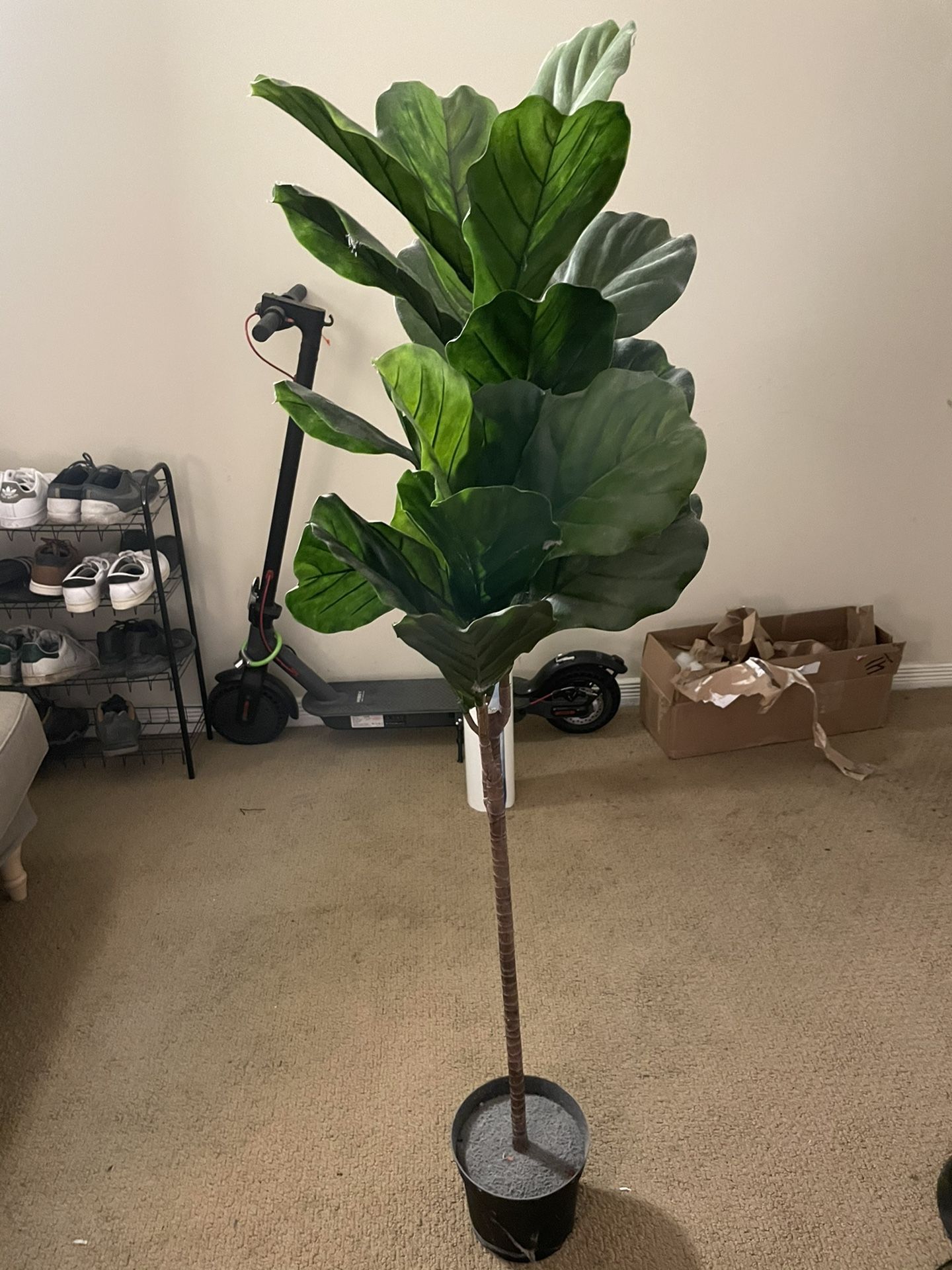IKEA Fake Fig Tree for Sale in Los Angeles, CA OfferUp