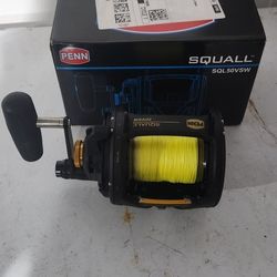Penn Squall 50LD VSW 2 Speed and Ugly Stik Combo