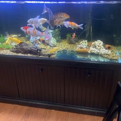 Fishtank and stand only 300gallon no accessories or fish